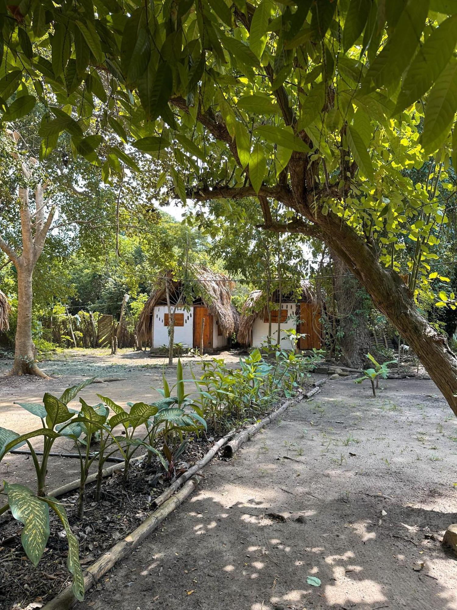 La Aldea Hostel, Camping Y Hamacas Palomino Exteriér fotografie