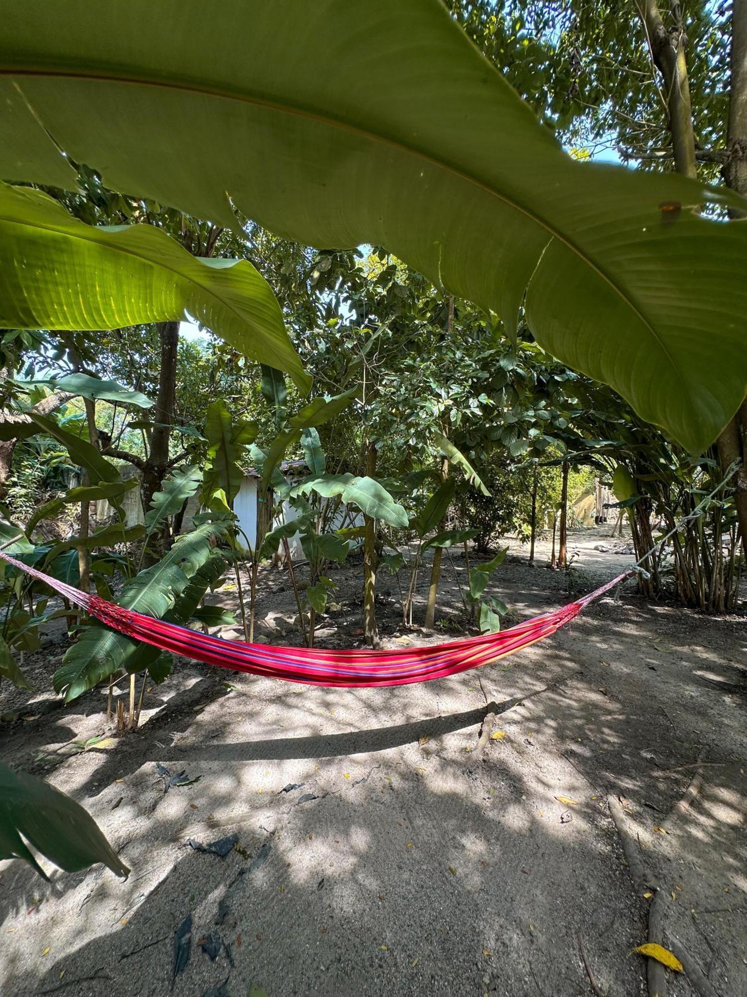 La Aldea Hostel, Camping Y Hamacas Palomino Exteriér fotografie